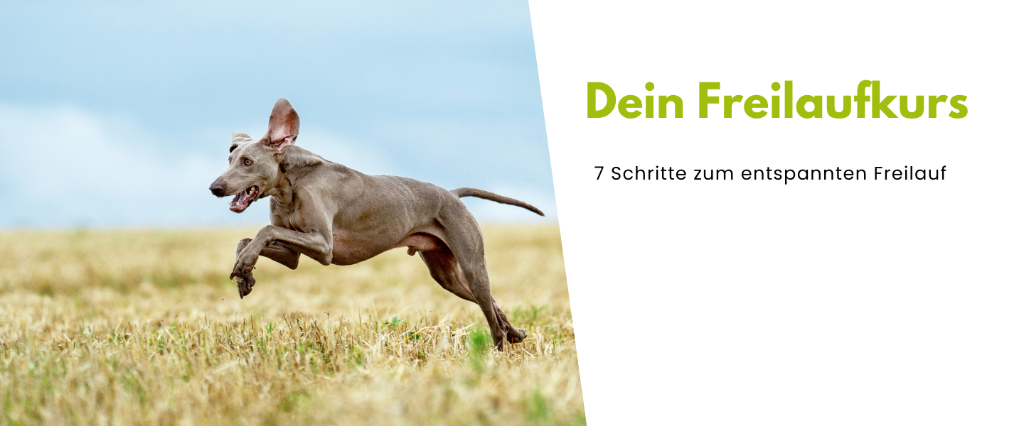 Schwarz Weiß Einfach Stellenanzeige Job Facebook Post (24.871 x 15 cm) (Präsentation)